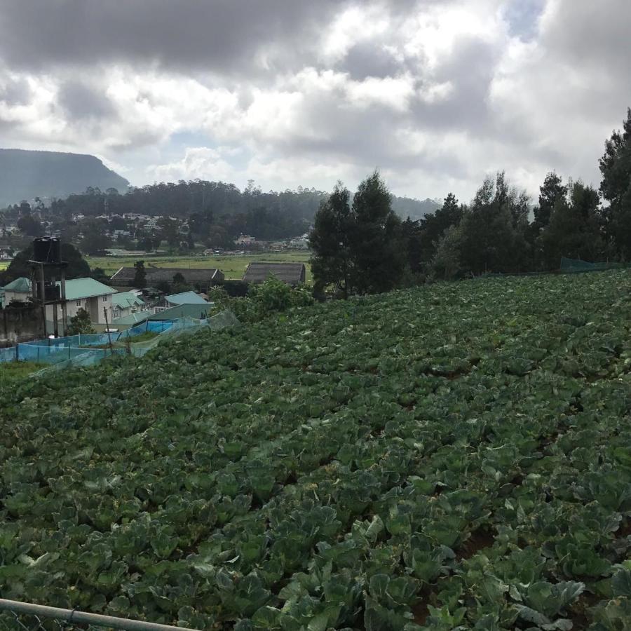 Dahlia Mount View Hotel Nuwara Eliya Eksteriør billede